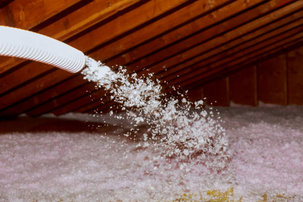 Best Professional Insulation Contractor  in Colusa, CA